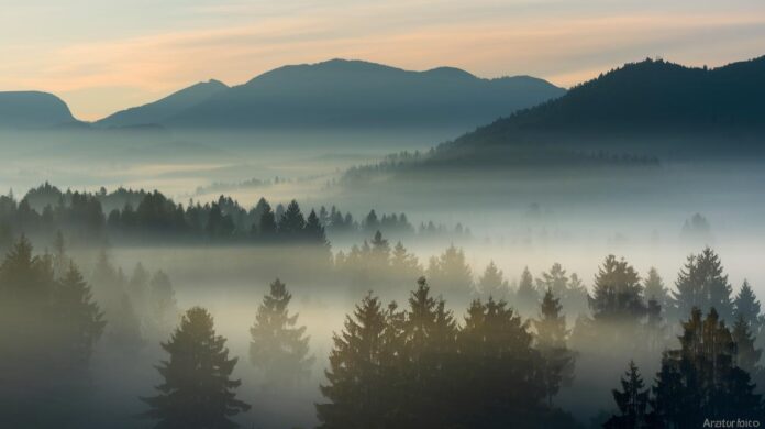 Mystic-Dream-Radiates-Spiritual-Brilliance